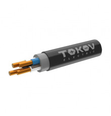 Кабель TOKOV ELECTRIC ППГнг(А)-HF 4х2.5 ОК (N) 0.66кВ (м) ТХМ00409119