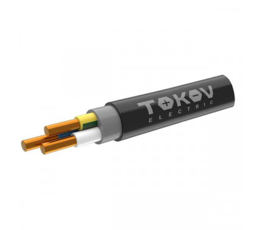 Кабель TOKOV ELECTRIC ППГнг(А)-HF 3х2.5 ОК (N PE) 0.66кВ (уп.100м) ТХМ00409106