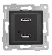 Розетка USB 2-м СП Ugra механизм графит GUSI С11USB2-010