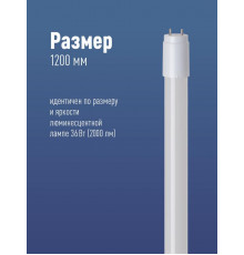 Лампа светодиодная 20Вт G13 6500К GLASS 1200мм T8 Космос Lksm_LED20wG13T865GL