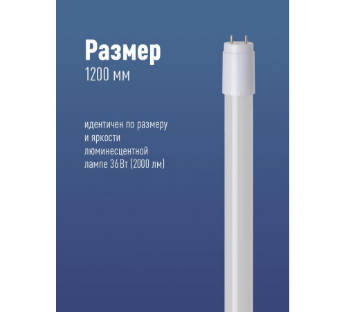 Лампа светодиодная 20Вт G13 6500К GLASS 1200мм T8 Космос Lksm_LED20wG13T865GL