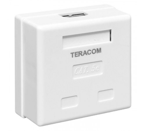 Розетка настенная TERACOM кат.5E неэкранированная 2 порта RJ-45 Dual IDC бел. EKF TRC-WBOX-2RJ45-5EUTP-WH