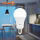 Лампа светодиодная LED Value LVCLA150 20SW/865 20Вт грушевидная матовая E27 230В 10х1 RU OSRAM 4058075579378