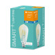 Лампа светодиодная SMART+ Filament Edison Dimmable 60 6Вт/2700К E27 LEDVANCE 4058075208575