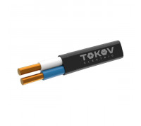 Кабель TOKOV ELECTRIC ВВГ-Пнг(А)-LS 2х4 ОК (N) 0.66кВ (м) ТХМ00407694