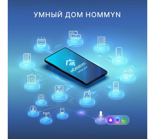 Модуль съемный управляющий HDN/WFN-02-01 Wi-Fi HOMMYN НС-1416708