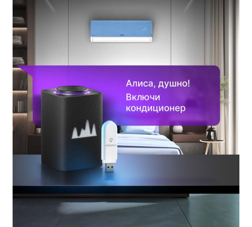 Модуль съемный управляющий HDN/WFN-02-01 Wi-Fi HOMMYN НС-1416708