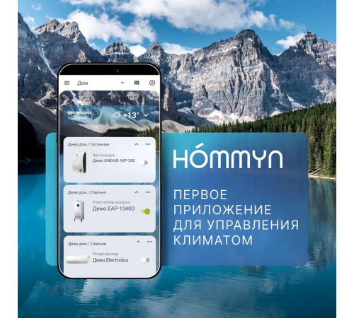 Модуль съемный управляющий HDN/WFN-02-01 Wi-Fi HOMMYN НС-1416708