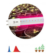 Лампа светодиодная FITO-18W-RB-Т8-G13-NL 18Вт T8 линейная 96LED 2835 IP20 35000ч для растений/для подсветки мясных витрин красн./син. спектр стекло Эра Б0042990